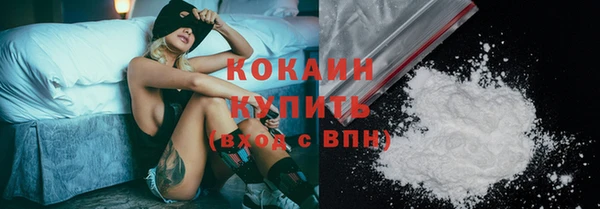 сатива Дмитриев