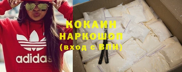 сатива Дмитриев