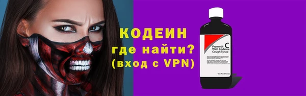 сатива Дмитриев