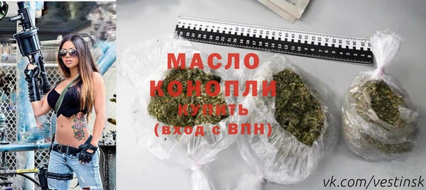 сатива Дмитриев