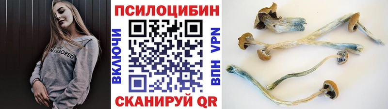мориарти клад Катав-Ивановск Галлюциногенные грибы мицелий